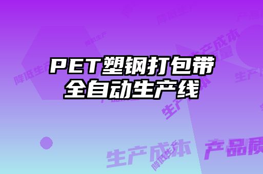 PET塑鋼打包帶全自動生產線