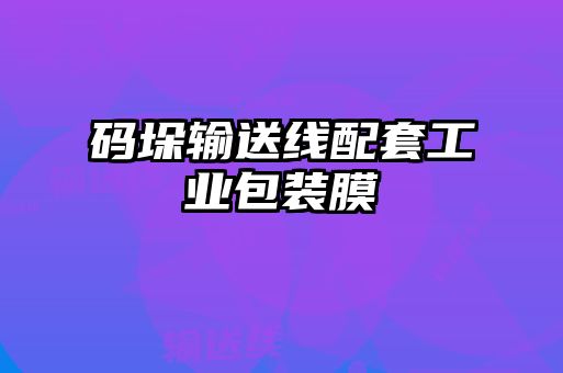 碼垛輸送線(xiàn)配套工業(yè)包裝膜