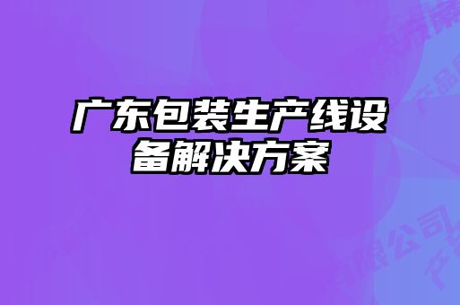 廣東包裝生產線設備解決方案