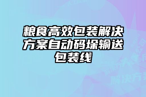 糧食高效包裝解決方案自動(dòng)碼垛輸送包裝線