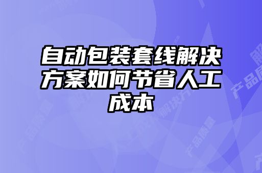 自動包裝套線解決方案如何節(jié)省人工成本