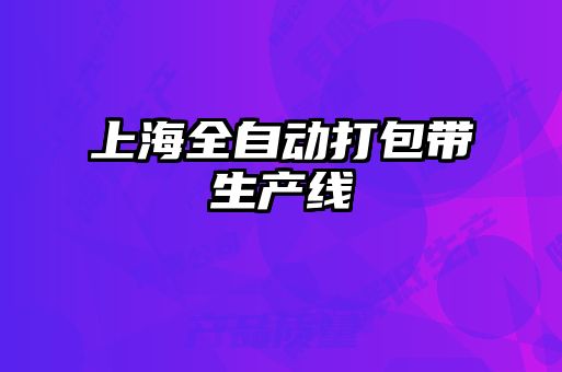 上海全自動打包帶生產線