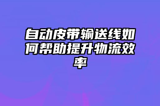 自動皮帶輸送線如何幫助提升物流效率