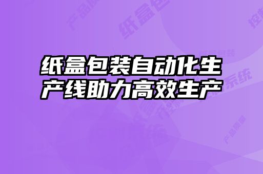 紙盒包裝自動化生產線助力高效生產
