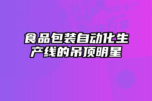 食品包裝自動化生產(chǎn)線的吊頂明星