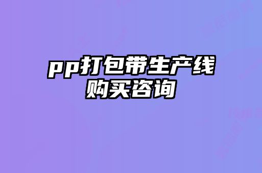 pp打包帶生產(chǎn)線購(gòu)買咨詢